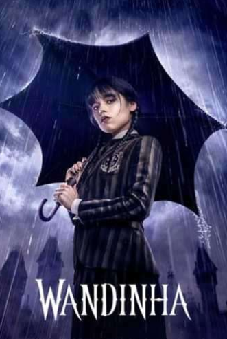 Captura de tela 2025-12-10 000459